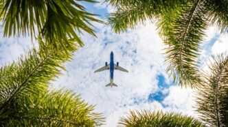 Wizz Air Premiata Come Compagn