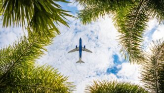 Wizz Air Premiata Come Compagn