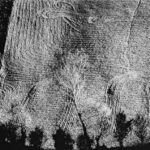 A Fabriano La Mostra Paesaggi Mette A Confronto Le Foto Di Mario Giacomelli Con I Disegni Di Simone Massi