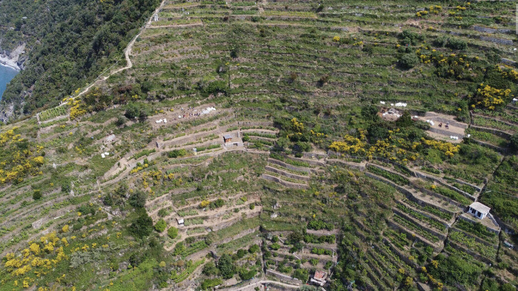 Accordo Tra Parco Nazionale De