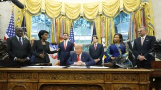 Commento Di Donald Trump A Una