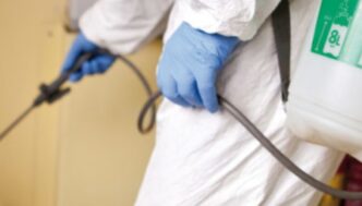 Demuscazione E Disinfestazione