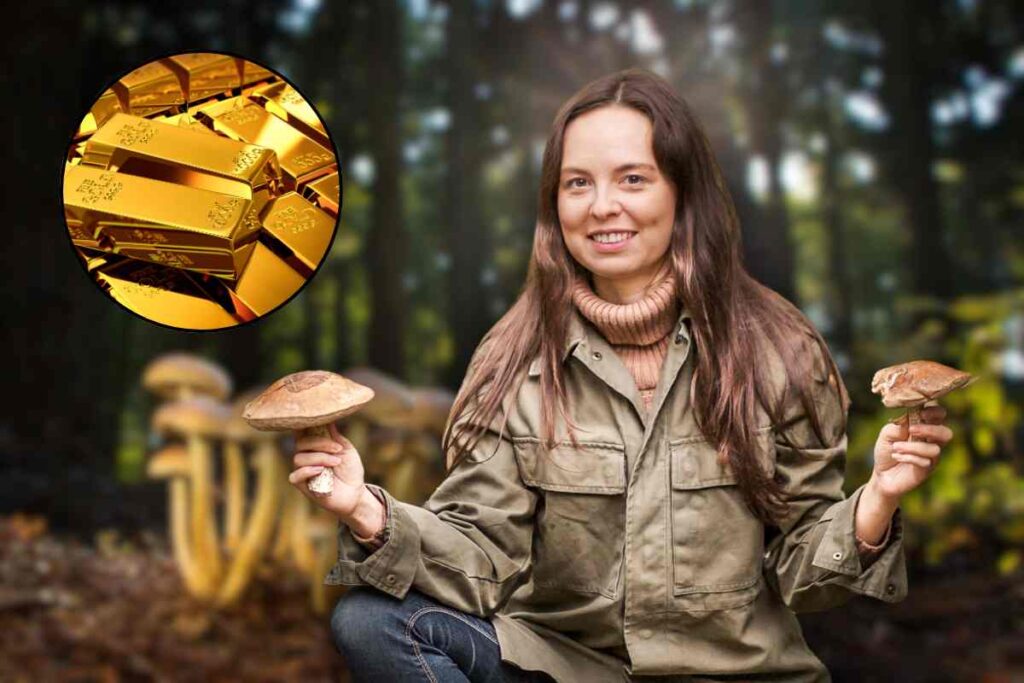 funghi che producono oro