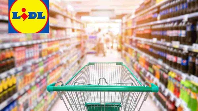 Lidl, Non Spendere Una Fortuna Per Tenere In Ordine Il Giardino