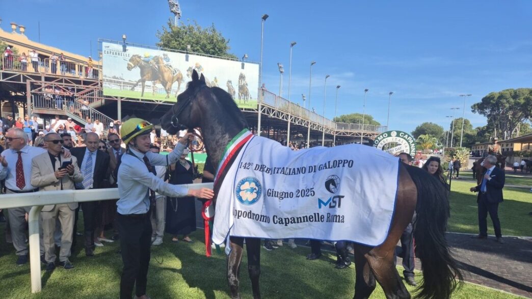Oltre 15.000 Spettatori Alle28099Ip