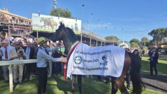 Oltre 15.000 Spettatori Alle28099Ip