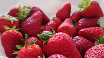 Seguire La Dieta Mind Per Anni