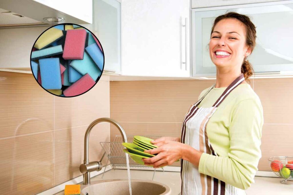 alternativa spugna piatti