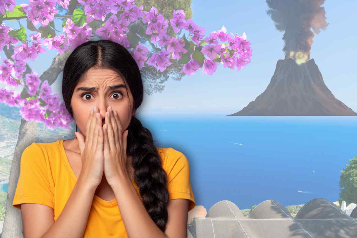 Vacanza A Rischio Vulcanico