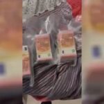 38Enne Senegalese Arrestato A Catania Per Laboratorio Di Marijuana Modificata Con Sostanze Chimiche