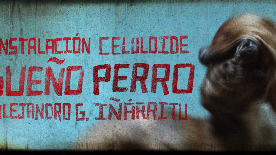 A 25 Anni Da Amores Perros La
