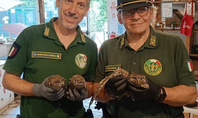 A Cerveteri Quattro Civette Re