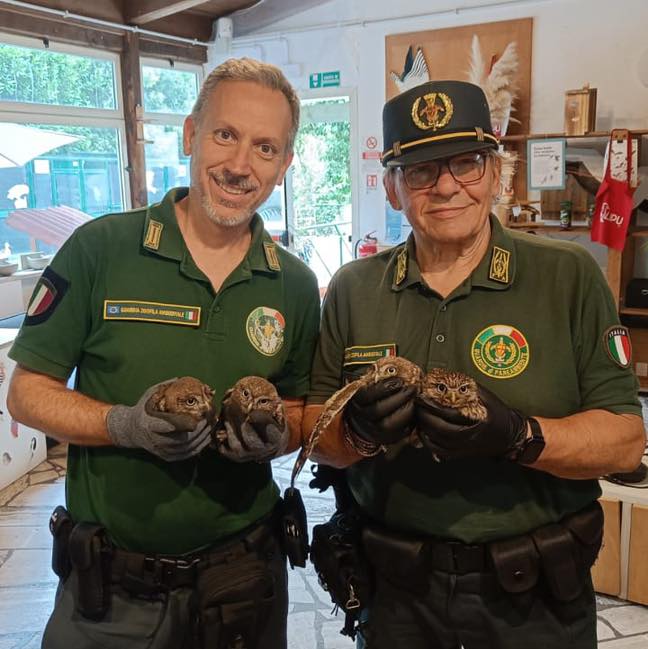 A Cerveteri Quattro Civette Re