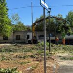 A L’aquila Taglio Di Decine Di Alberi Nel Parco Polsinelli Tra Polemiche E Preoccupazioni Ambientali