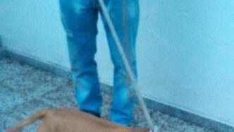 A Milano Sei Arresti Per Rapin
