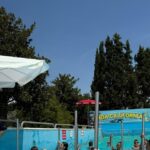 Acqua Pole Fitness A Zoomarine: Due Giornate Di Sport, Musica E Divertimento In Piscina