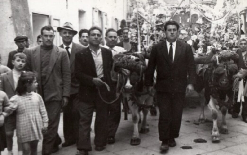 Ad Arzano Torna La Festa Di Sa
