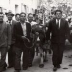 Ad Arzano Torna La Festa Di Santa Giustina Tra Riti Antichi E Nuovi Eventi