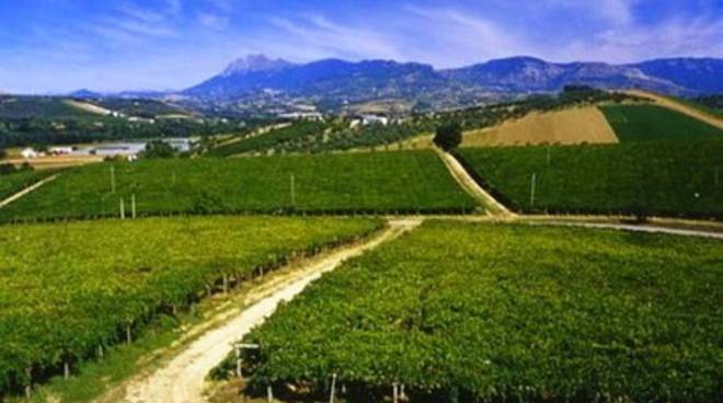 Agricoltura Abruzzese In Crisi