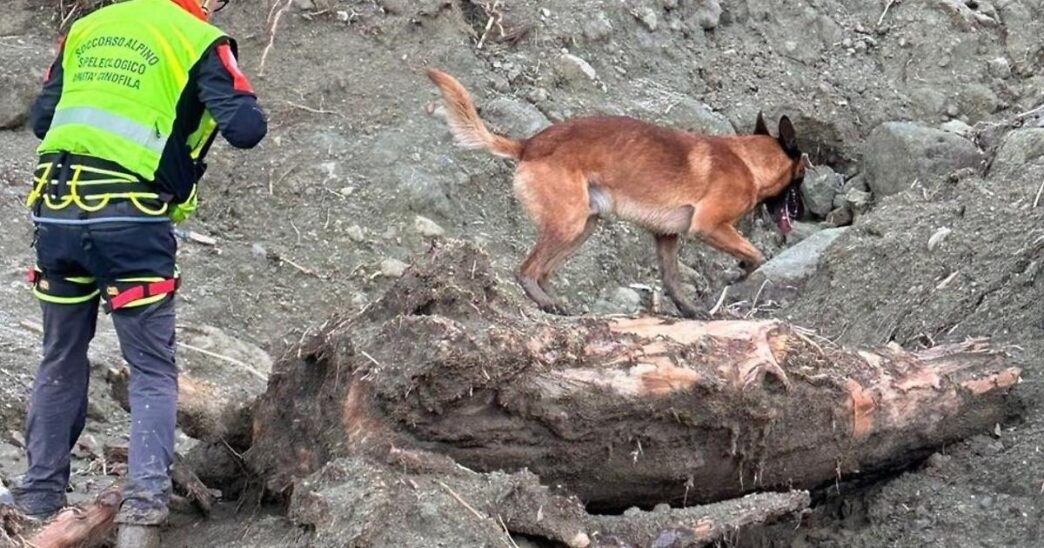 Alpinista Svizzero Disperso Da