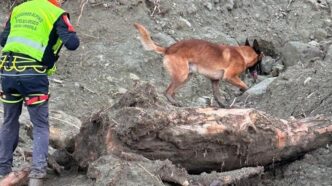 Alpinista Svizzero Disperso Da