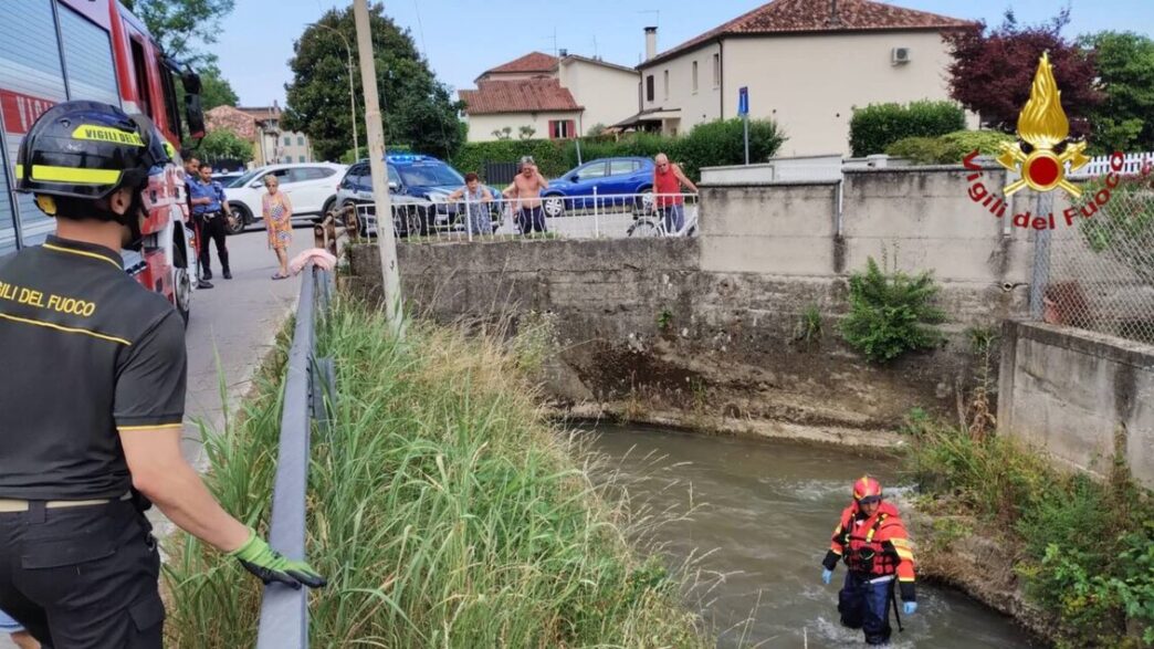 Anziana Su Sedia A Rotelle Cad