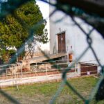 Appello Per La Strage Della Lanterna Azzurra Di Corinaldo: Risentiti I Consulenti Sulle Falle Di Sicurezza E Permessi