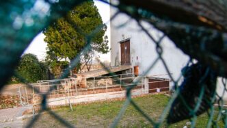 Appello Per La Strage Della La