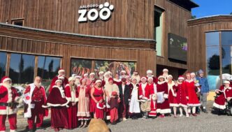 Babbo Natale In Estate Ad Aalb