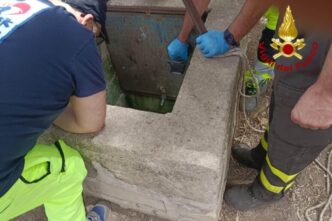 Bambino Cade In Un Pozzo Vicin