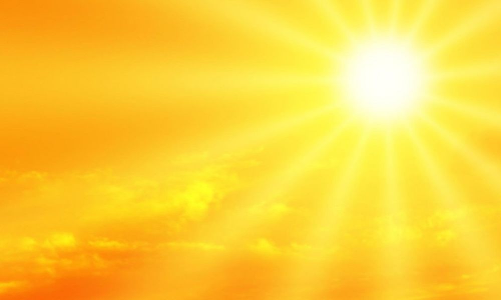 Caldo Estremo E Lavoro Alle28099Ape