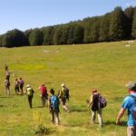 Camminate Estive Nei Parchi Nazionali Di Italia E Europa Tra Natura E Storie Antiche