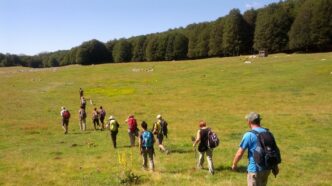 Camminate Estive Nei Parchi Na