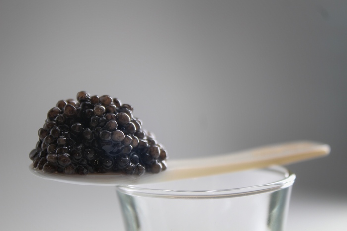 Caviar Milan Propone Il Cavial