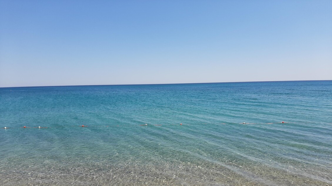 Chi Avvelena Il Mare Della Cal