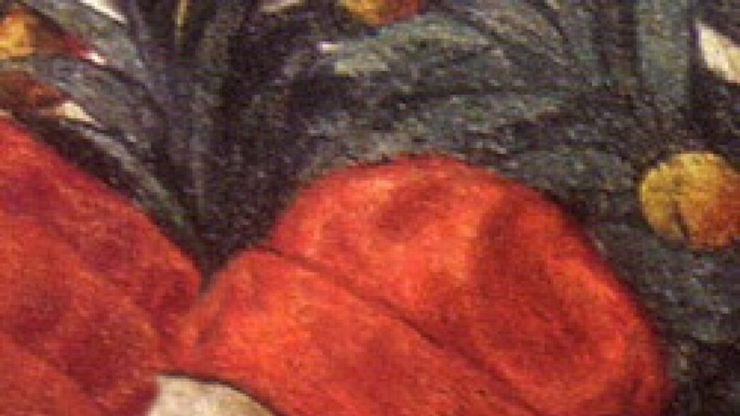 Ciriaco Di Ancona E La Nascita