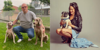 Come Funzionano I Dog Rescue E