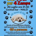 Concerto Di Beneficenza Al Malò Di Ladispoli Per Sostenere Gli Amici Di Old E I Cani Del Canile Di Bracciano
