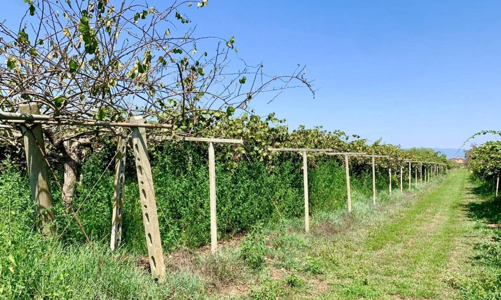 Confagricoltura Latina Allarme