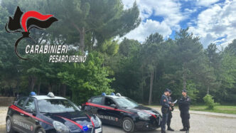 Controlli Al Parco Miralfiore