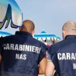 Controlli Dei Carabinieri Del Nas A Latina Tra Fondi E Terracina Per Sicurezza Di Stabilimenti E Palestre