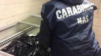 Controlli Del Nas Di Latina3A S