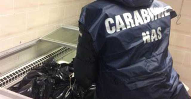 Controlli Del Nas Di Latina3A S