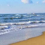 Corpo Di Un Uomo Ritrovato Al Mattino Sulla Spiaggia Tra Passoscuro E Maccarese
