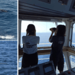 Corsica Sardinia Ferries E Yellow Cares, Un Impegno Concreto Per Osservare E Salvaguardare Il Mare