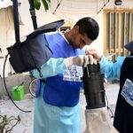Cresce L’allerta West Nile In Italia Con Otto Vittime E Migliaia Di Contagi Stimati