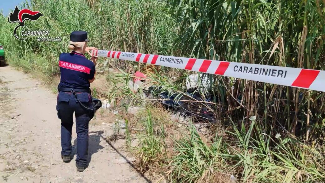 Denunce Per Trasporto Illecito