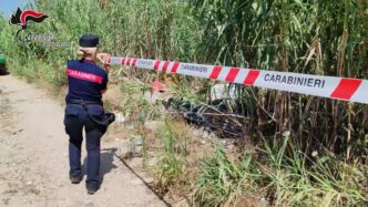 Denunce Per Trasporto Illecito
