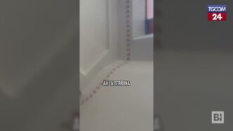 Denuncia Virale Di Una Student