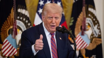 Donald Trump Celebra Sei Mesi